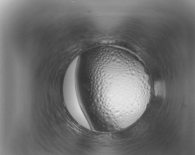 X0000080131444200612151726