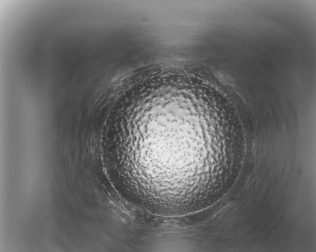 X0000080131445200612151726