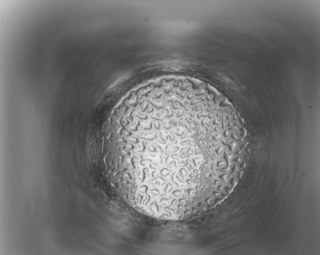 X0000080131446200612151726