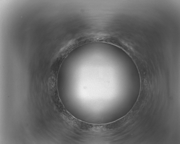 X0000080131447200612151726