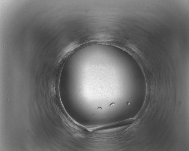 X0000080131451200612151726