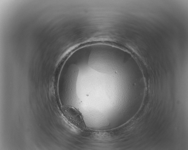 X0000080131452200612151726