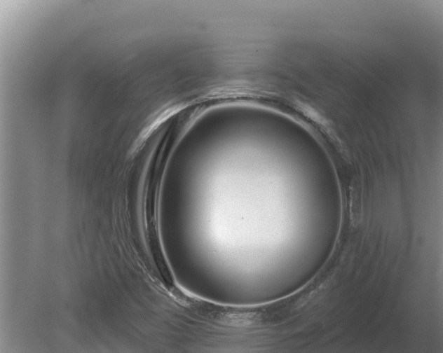 X0000080131453200612151726