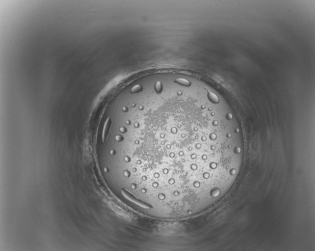 X0000080131454200612151726