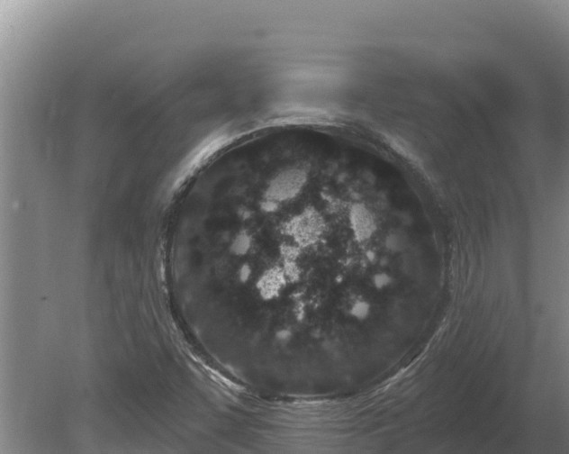 X0000080131455200612151726