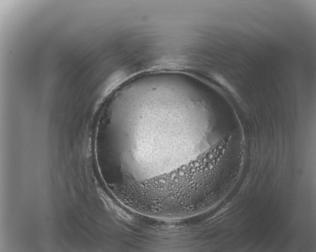 X0000080131459200612151726