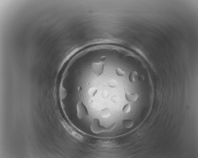 X0000080131460200612151726