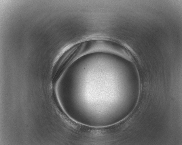 X0000080131461200612151726