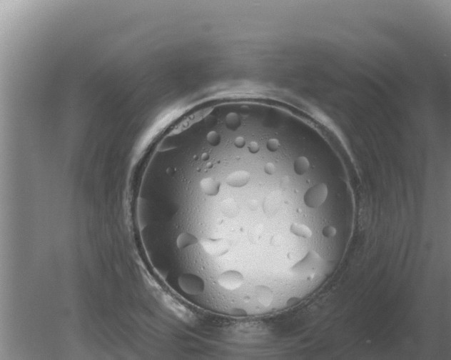 X0000080131464200612151726