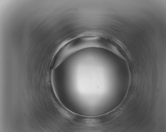 X0000080131465200612151726