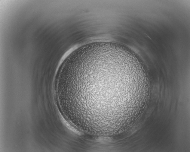 X0000080131466200612151726