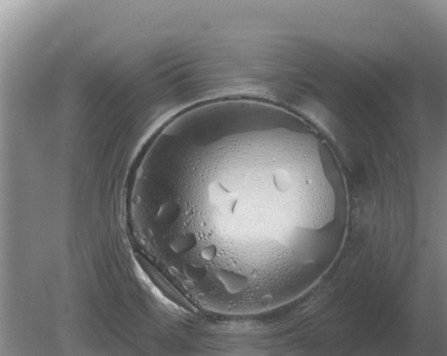 X0000080131468200612151726