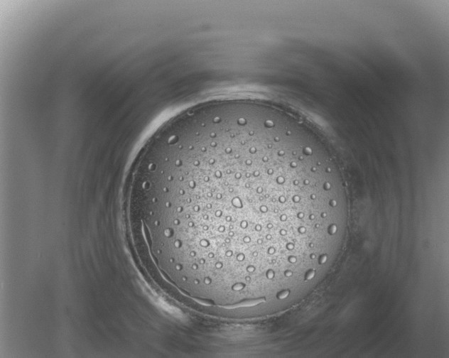 X0000080131470200612151726