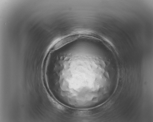 X0000080131471200612151726