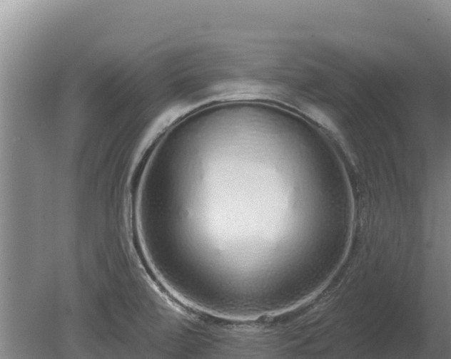 X0000080131472200612151726