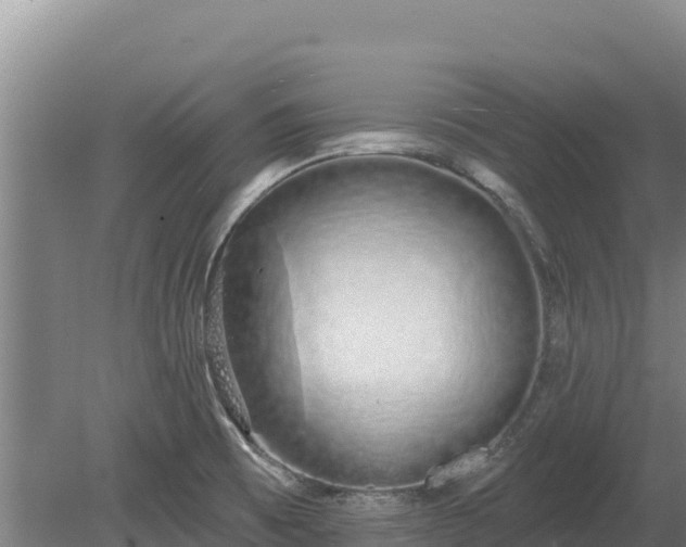 X0000080131473200612151726