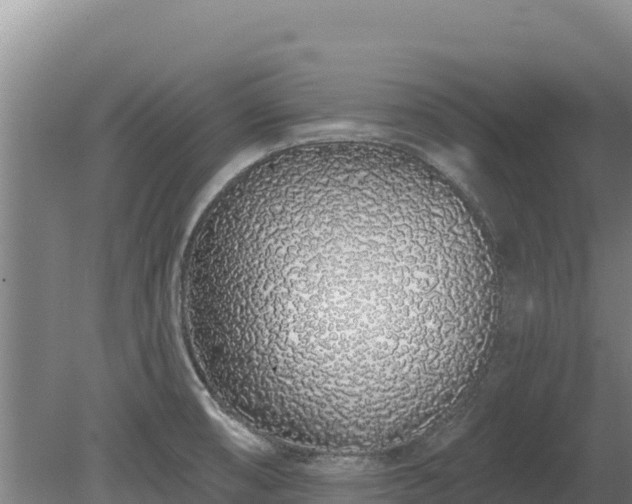 X0000080131474200612151726