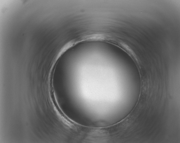 X0000080131475200612151726