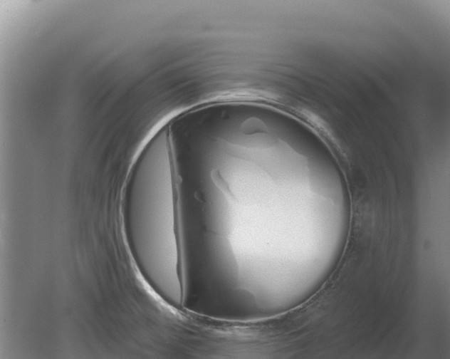 X0000080131476200612151726