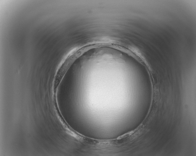 X0000080131477200612151726