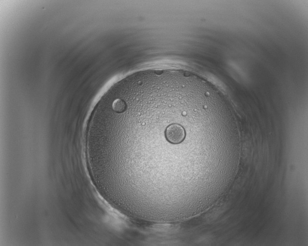 X0000080131478200612151726