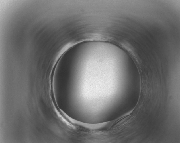 X0000080131479200612151726