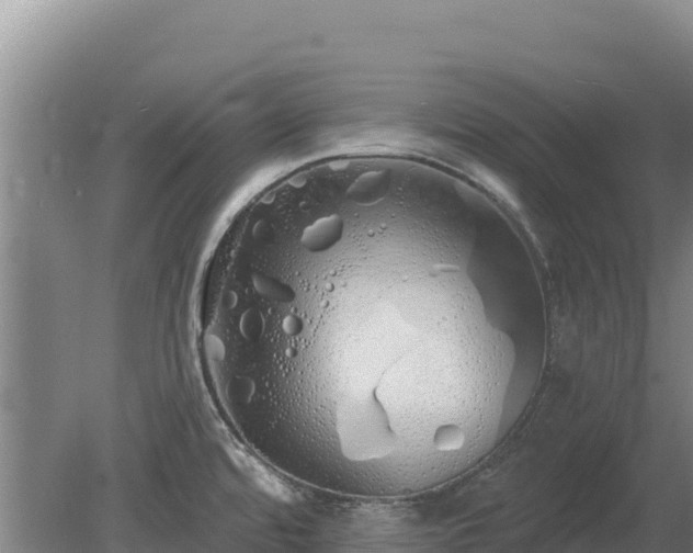 X0000080131480200612151725