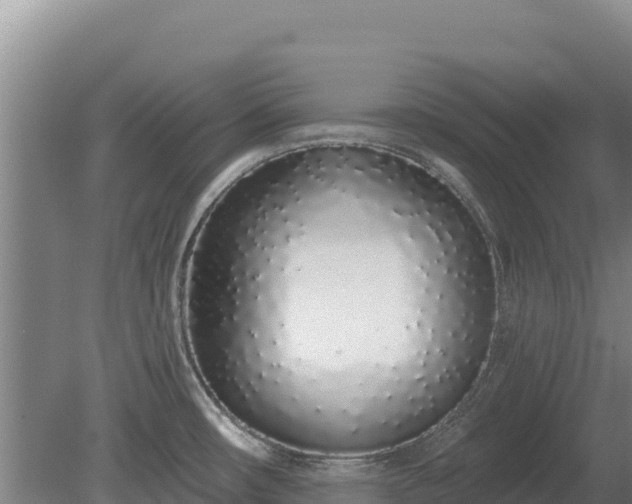 X0000080131482200612151725