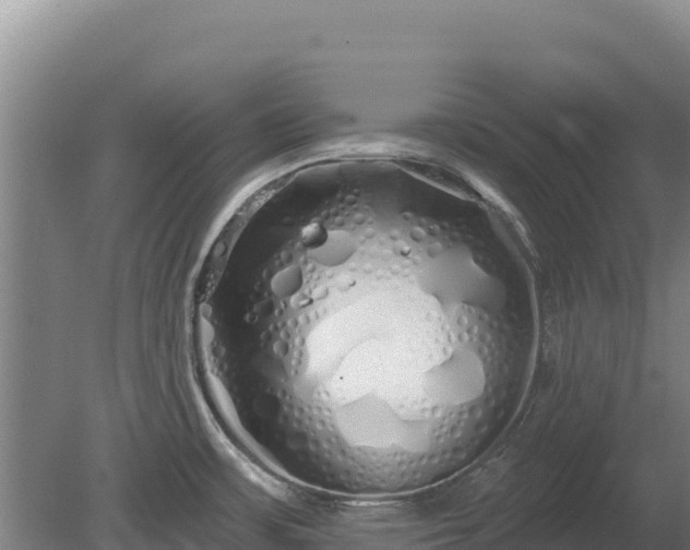 X0000080131483200612151725