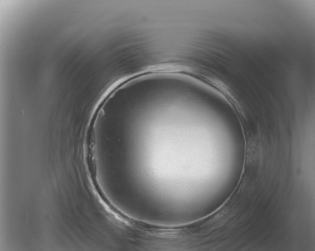 X0000080131484200612151725