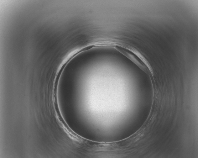 X0000080131485200612151725