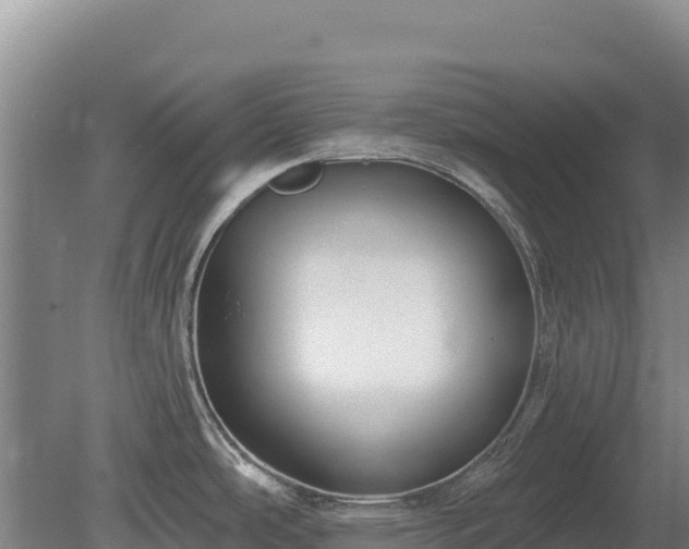 X0000080131486200612151725