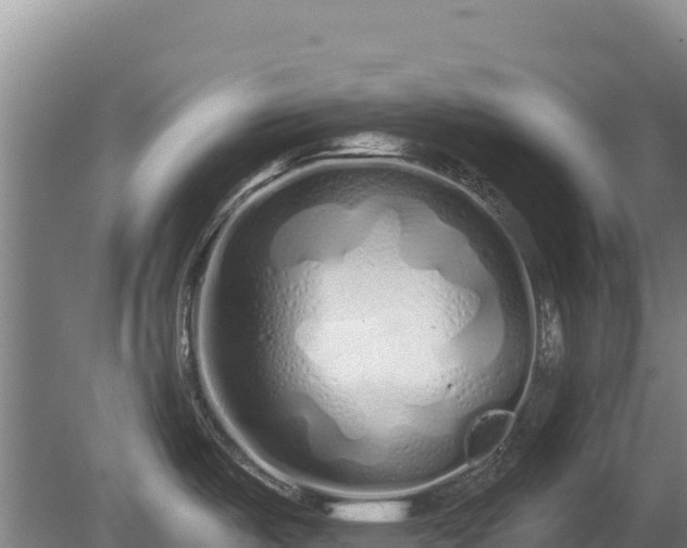 X0000080131487200612151725