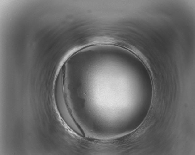 X0000080131488200612151725