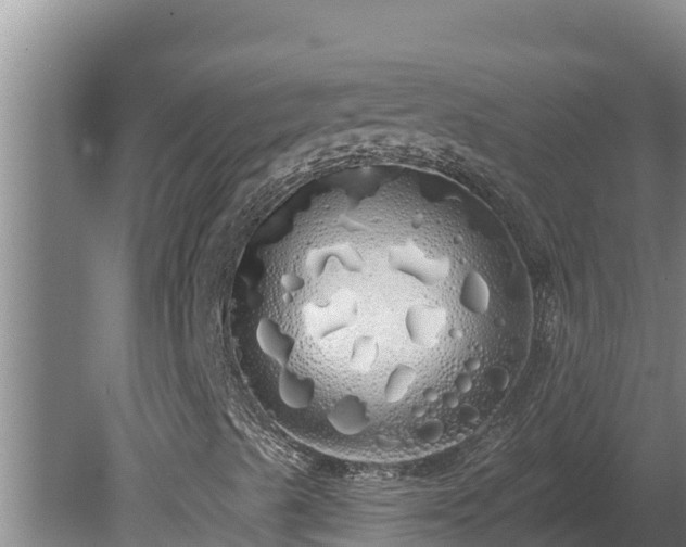 X0000080131489200612151725