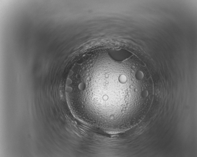 X0000080131490200612151725