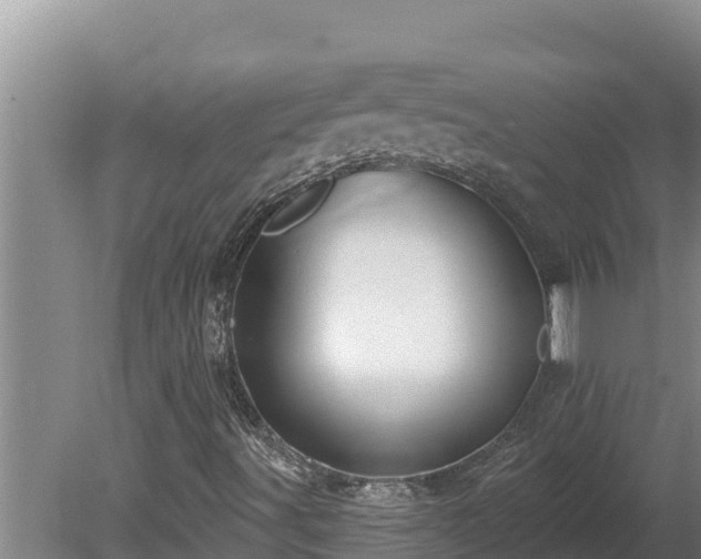 X0000080131491200612151725