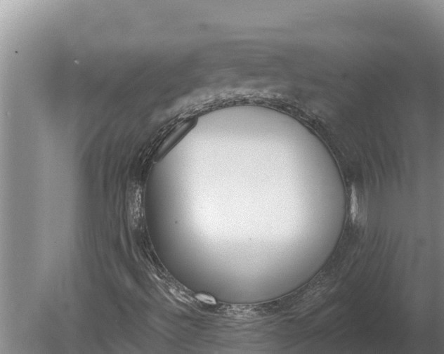 X0000080131492200612151725