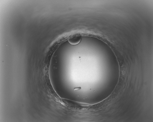 X0000080131495200612151725