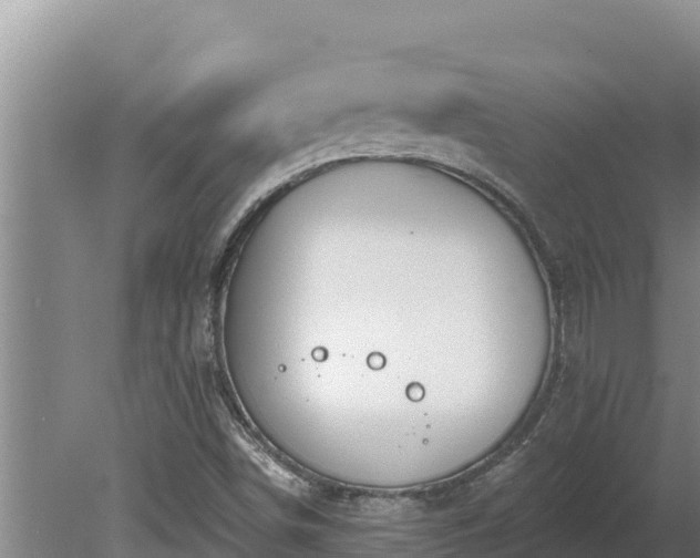 X0000080131498200612151725