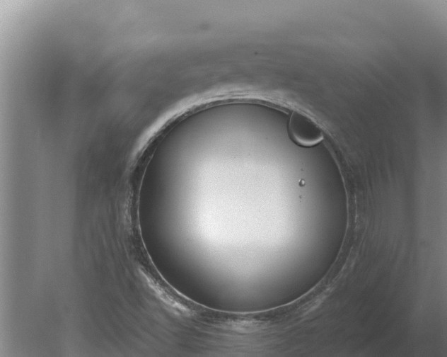 X0000080131502200612151725