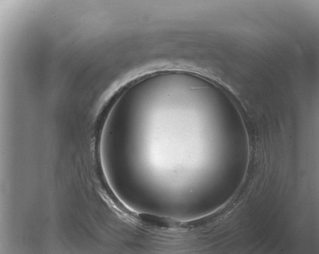 X0000080131503200612151725