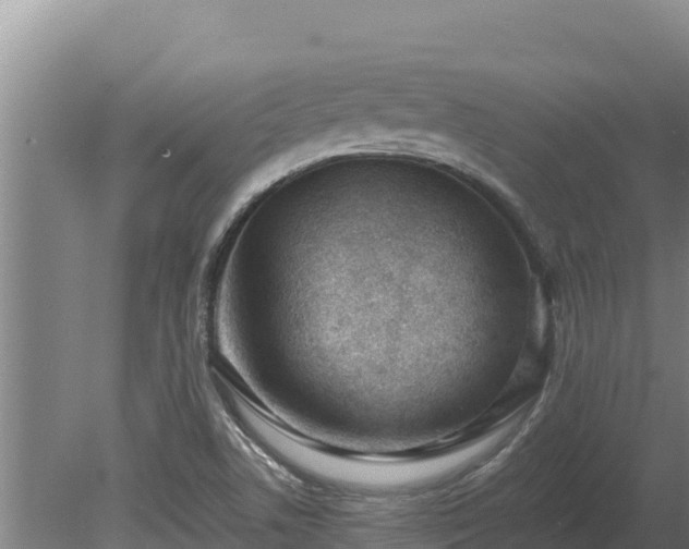 X0000080131506200612151725