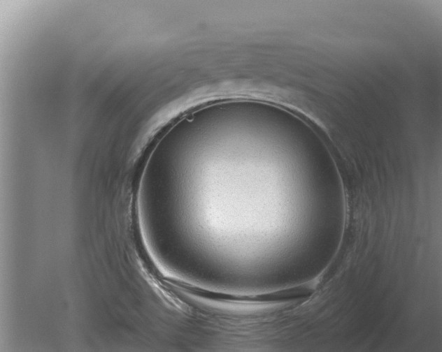 X0000080131507200612151725