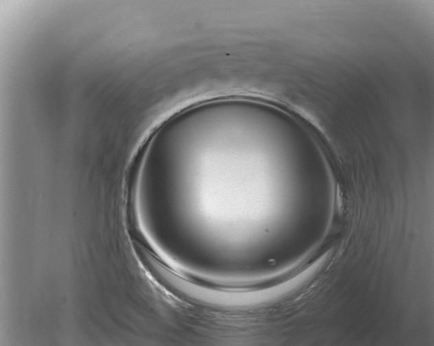 X0000080131508200612151725