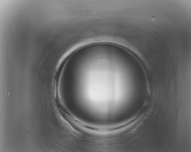 X0000080131510200612151725