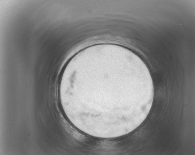 X0000080131514200612151725