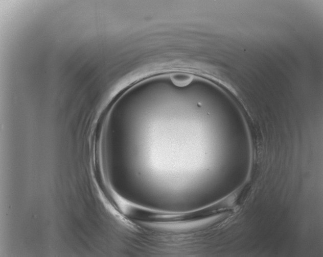 X0000080131515200612151725