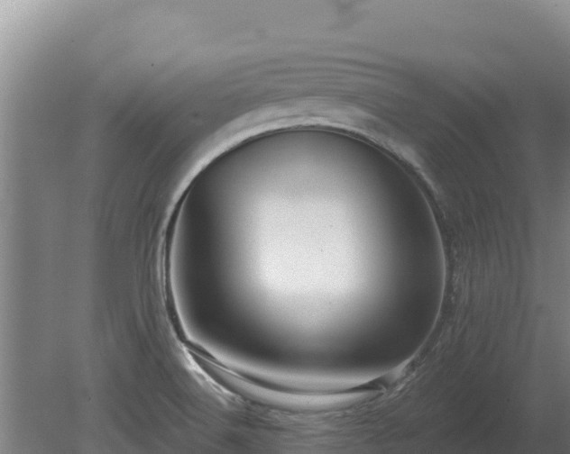 X0000080131516200612151725