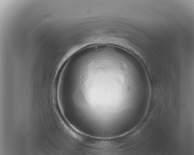 X0000080131517200612151725